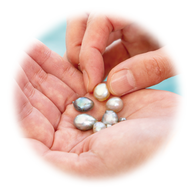 手のひらにのせた真珠